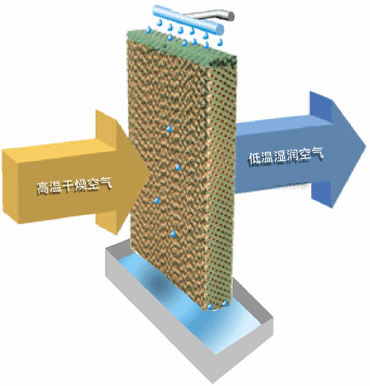 湿膜加湿器 湿膜加湿器